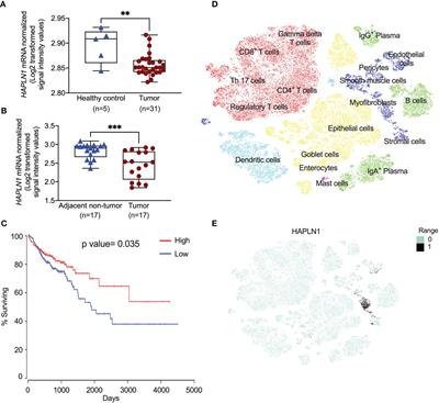 Loss of Hyaluronan and Proteoglycan Link Protein-1 Induces Tumorigenesis in Colorectal Cancer